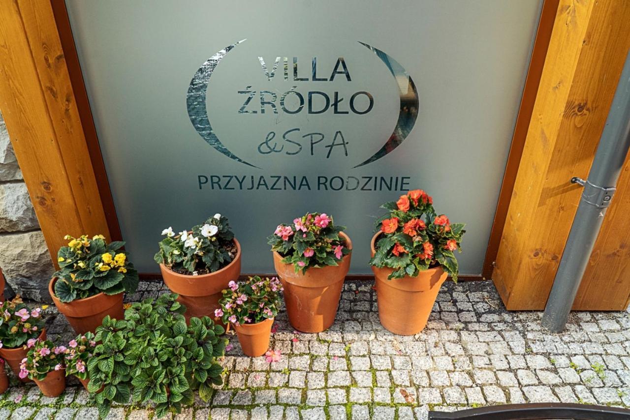 Villa Zrodlo & Spa Крыница-Здруй Экстерьер фото